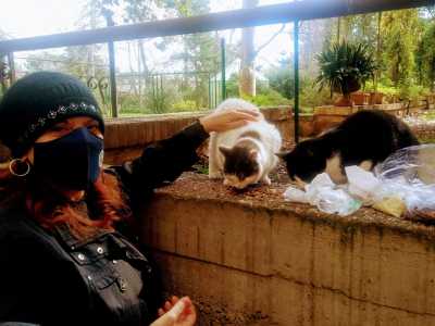 �Questa � la mia colonia � afferma la gattara Paola Felicini -...